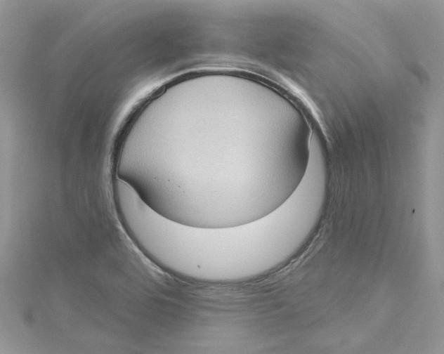 X0000114631464200911170959