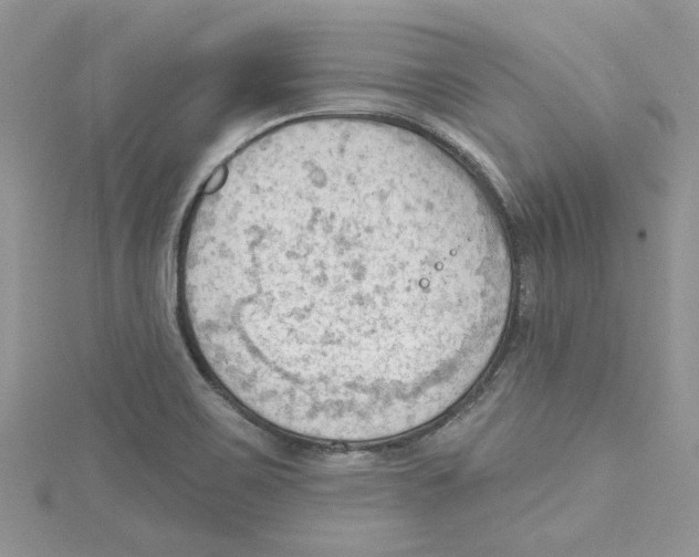 X0000114631467200911170959