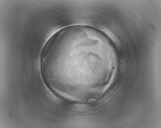 X0000114631468200911170959