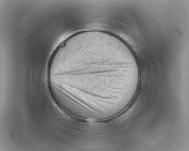 X0000114631469200911170959