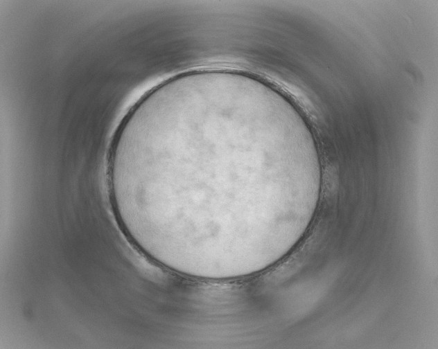 X0000114631470200911170959