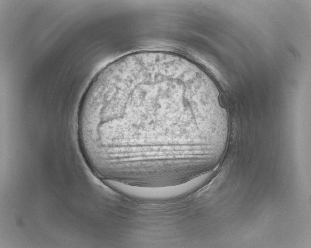 X0000114631471200911170959