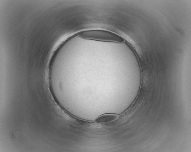 X0000114631472200911170959