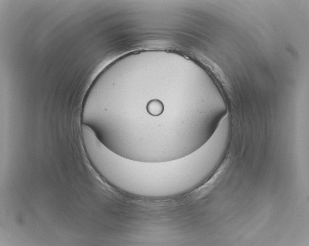 X0000114631473200911170959