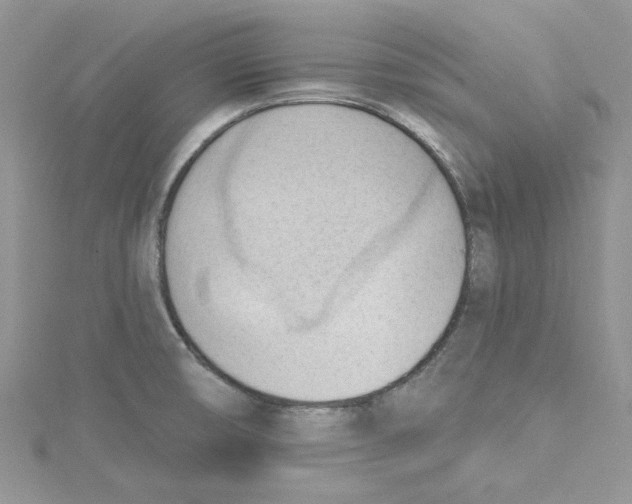 X0000114631474200911170959