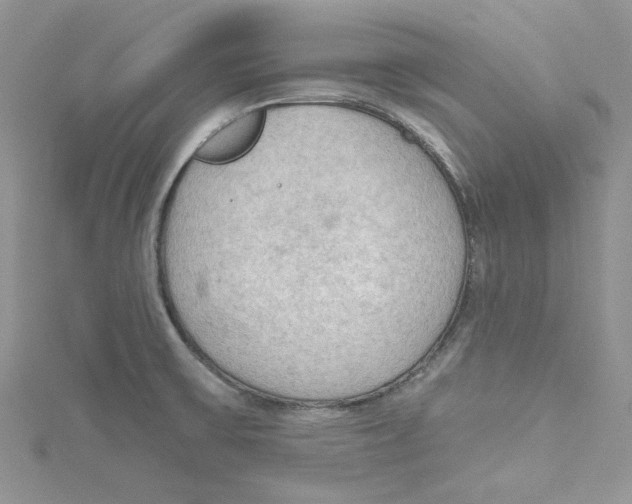 X0000114631475200911170959