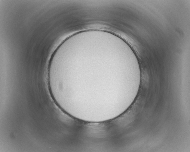 X0000114631478200911170959