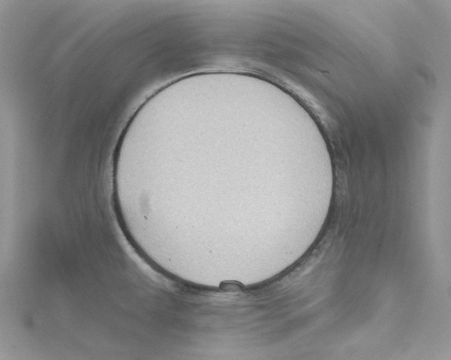 X0000114631479200911170959