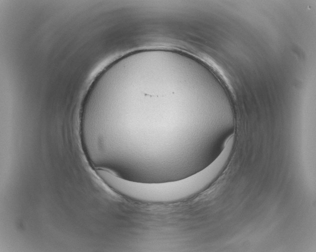 X0000114631480200911170959