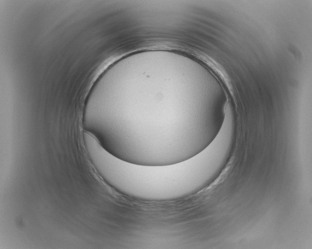 X0000114631481200911170959