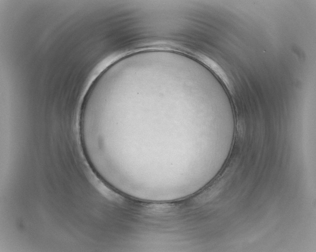 X0000114631482200911170959