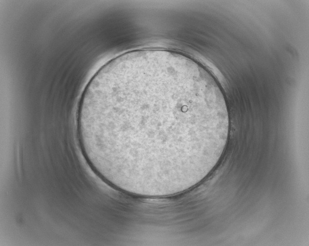 X0000114631483200911170959