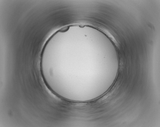 X0000114631484200911170959