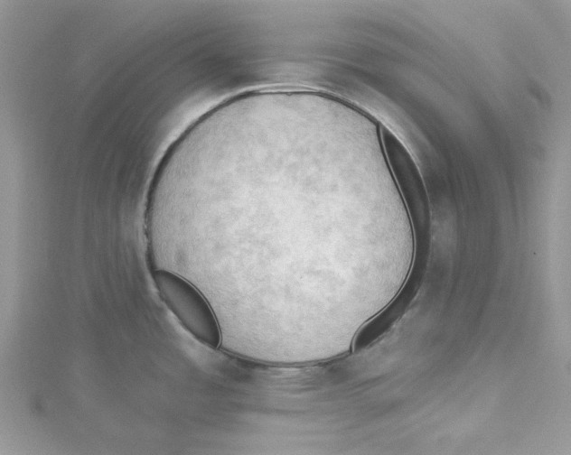 X0000114631485200911170959