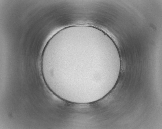 X0000114631486200911170959