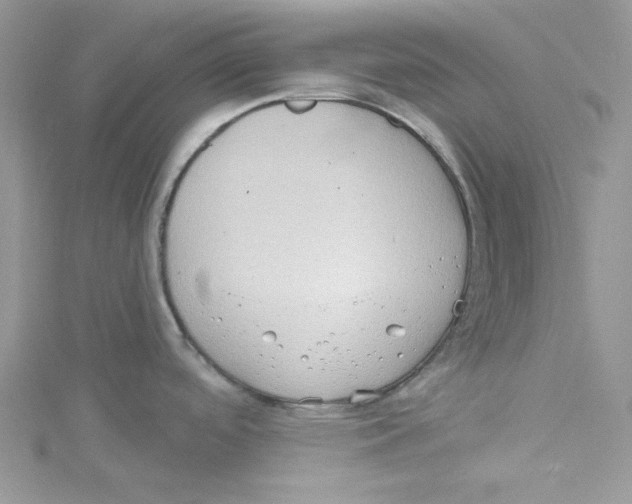 X0000114631488200911170959