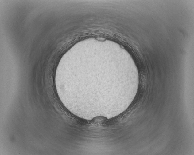 X0000114631489200911170958