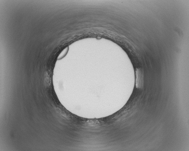 X0000114631491200911170958