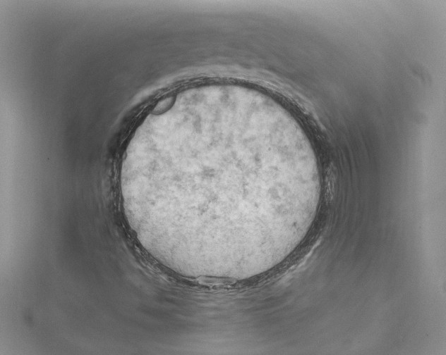 X0000114631494200911170958