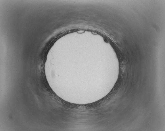 X0000114631495200911170958