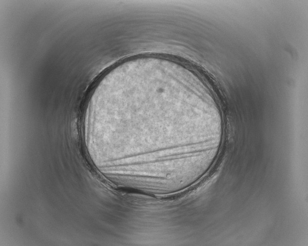 X0000114631497200911170958