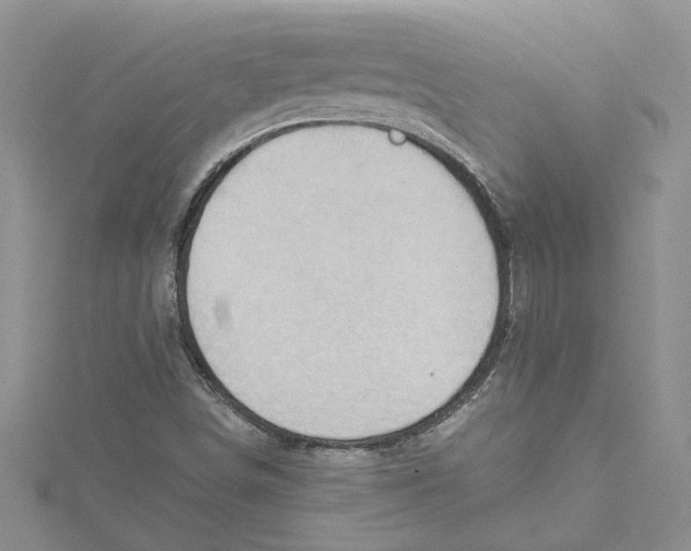 X0000114631498200911170958