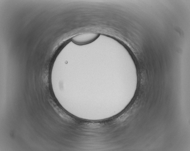 X0000114631499200911170958