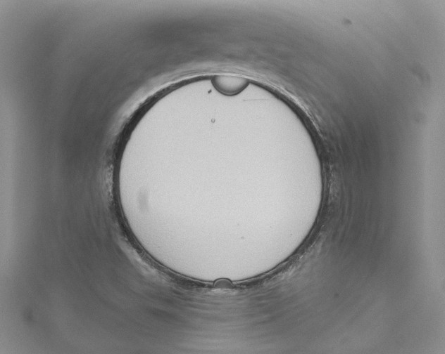 X0000114631503200911170958