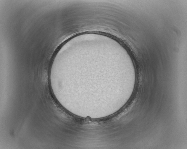 X0000114631505200911170958