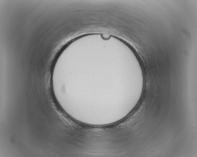 X0000114631507200911170958