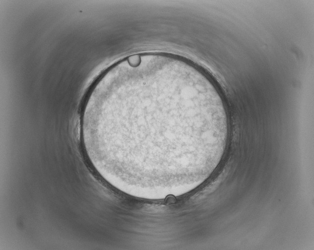 X0000114631509200911170958