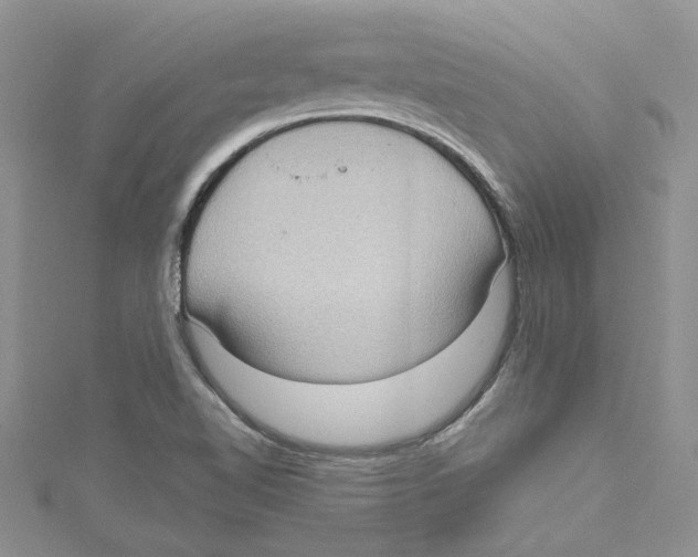 X0000114631510200911170958