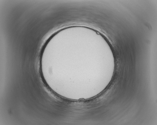 X0000114631511200911170959