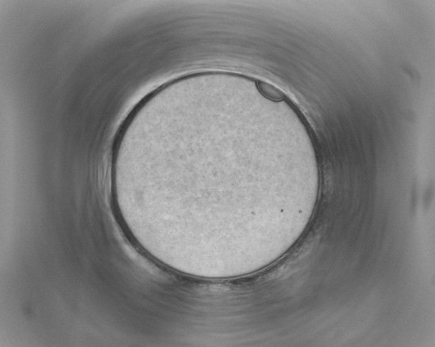 X0000114631515200911170959