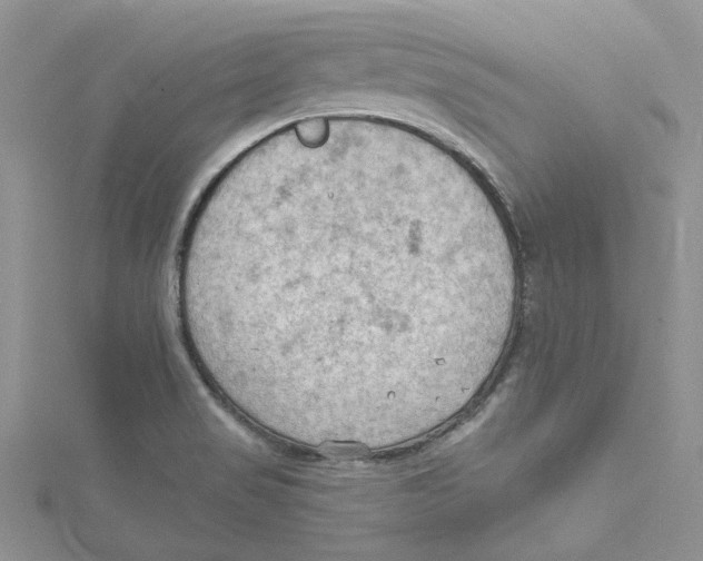 X0000114631517200911170959