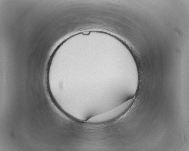 X0000114631518200911170959