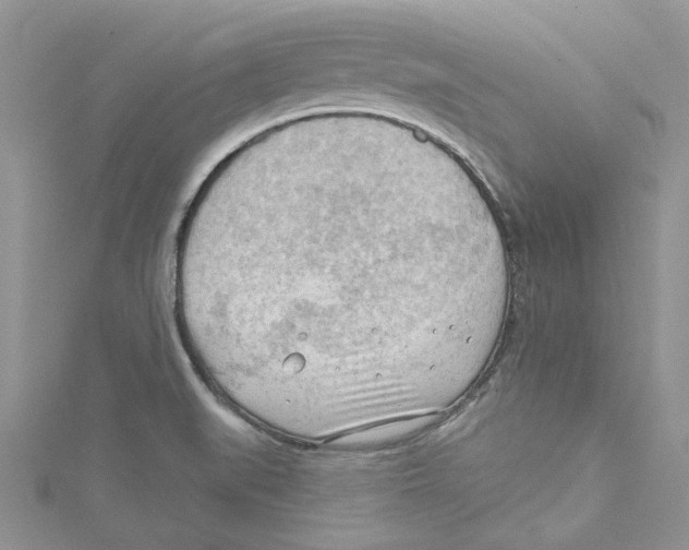 X0000114631519200911170959