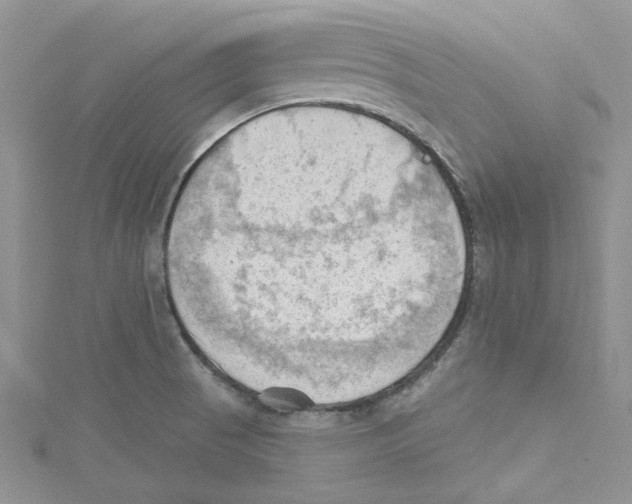 X0000114631521200911170959