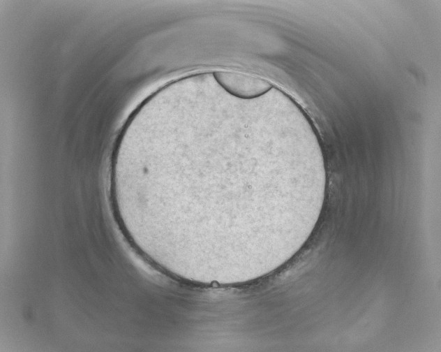 X0000114631523200911170959