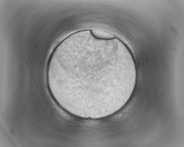 X0000114631525200911170959