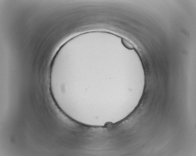 X0000114631526200911170959