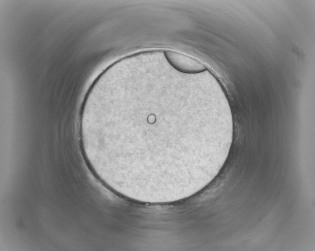 X0000114631527200911170959