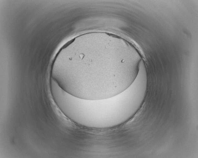 X0000114631530200911170959