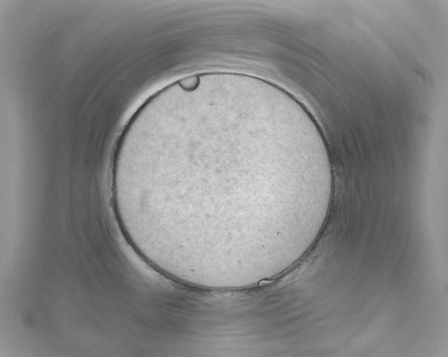 X0000114631531200911170959