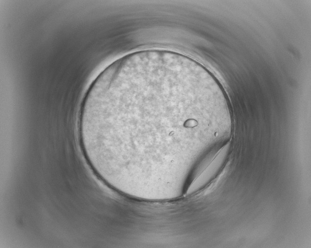 X0000114631533200911170959