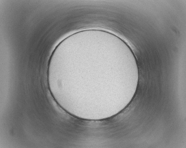 X0000114631534200911170959