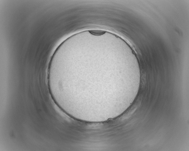 X0000114631535200911170959