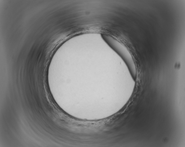 X0000114630001200912011036