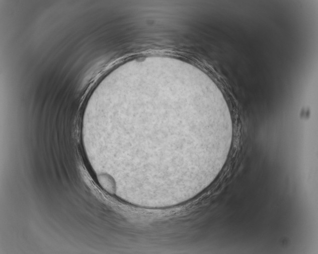 X0000114630002200912011036