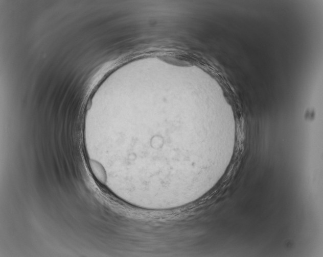 X0000114630003200912011036